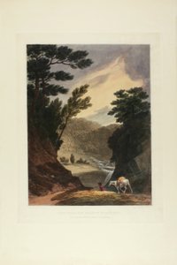 Uitzicht nabij de Schuylkill Falls, Pennsylvania, plaat vijf van het eerste nummer van Picturesque Views of American Scenery door John Hill