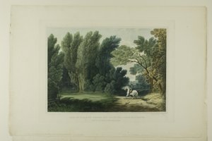 Gezicht op de plek waar generaal Ross viel, nabij Baltimore, plaat zes van het eerste nummer van Picturesque Views of American Scenery door John Hill