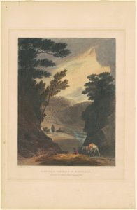 Uitzicht nabij de watervallen van Schuylkill