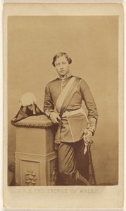 Z.K.H. de Prins van Wales. door John Jabez Edwin Mayall
