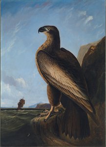 Washington Zeearend, ca. 1836-1839