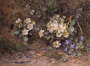Sleutelbloemen en viooltjes op een mosrijke oever