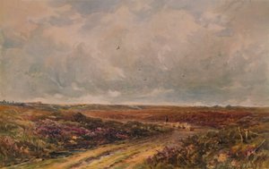 Stormachtige dag op een Surrey Common, 19e-20e eeuw, 1935