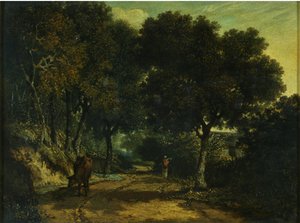 Een schaduwrijke landweg
