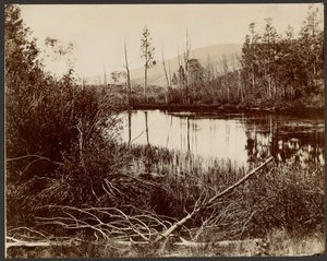 Meer van Morain, Watermanplateau