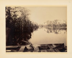 Silver Springs, Florida, stroomopwaarts gezien door John K. Hillers