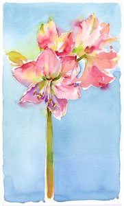 Amaryllis met aqua achtergrond, 2015 door John Keeling