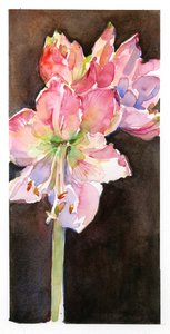Amaryllis met bruine achtergrond, 2015 door John Keeling