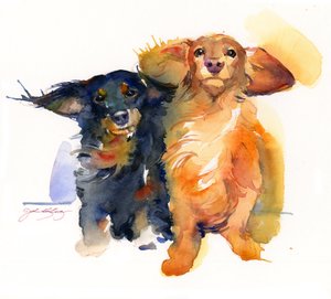 Teckel Duo