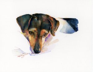 Scout portret, 2015