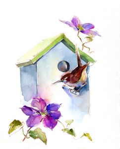 Winterkoning met vogelhuisje en clematis, 2016