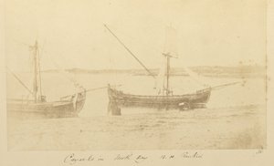 Kaaimannen in de Noordbaai, B.H. Renkioi door John Kirk