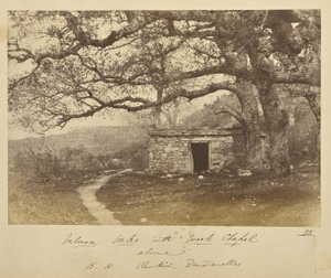 Valonea Oaks met Griekse kapel erboven. B.H. Renkioi, Dardanellen door John Kirk