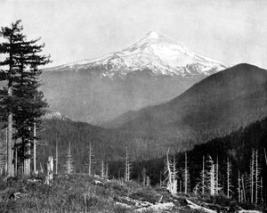 Mount Hood, Oregon, VS, 1893