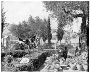 De Hof van Getsemane, Palestina, late 19e eeuw