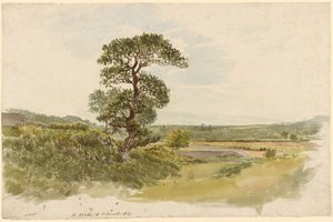 Een landschap in Snowdonia met een boom op de voorgrond door John Linnell