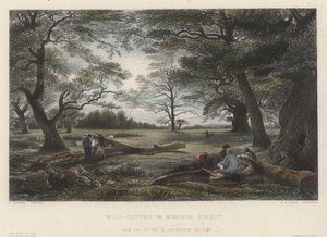 Houthakken in Windsor Forest (gekleurde gravure) door John Linnell