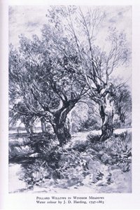 Houthakkers aan de rand van Windsor Forest, Natuur in Groot-Brittannië gepubliceerd door Collins door John Linnell