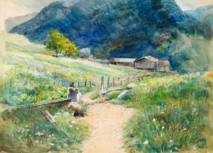 Juni in de Oostenrijkse Tirol