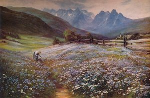 Juni in de Oostenrijkse Tirol