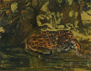Een jaguar, ca. 1900