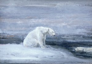 IJsberen kijken naar zeehonden bij een ijsgat