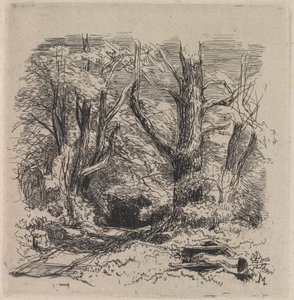 Een pad door het bos door John Middleton