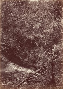 Expeditie Darien, 1871 (foto) door John Moran