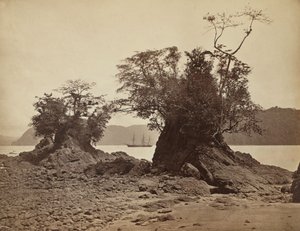 Eilanden in Limón Bay, 1871