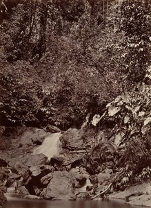 Tropisch Landschap, Waterval, Limon Rivier