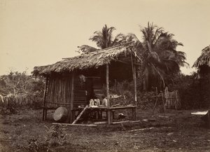 Tropisch landschap, inheems hut, Turbo