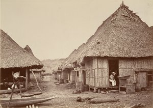 Tropisch landschap, straat, Chipigana