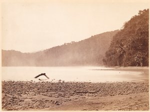 Tropisch landschap: Het eindpunt van het voorgestelde kanaal, Limon Bay (Expeditie Darien) door John Moran