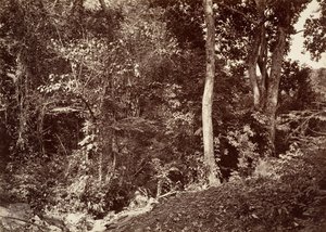 Tropisch Landschap, Uitzicht nabij Chipigana, 1871