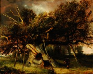 De Cowthorpe Eik door John Nicholas Rhodes