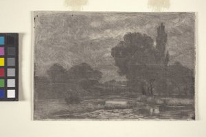 Moerassig Landschap