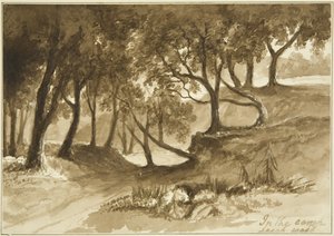 Uitzicht in het Burwalls Camp, Leigh Woods