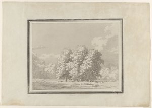 Paardenkastanje