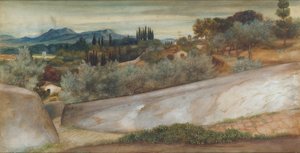 Een Toscaans landschap met dorp en olijfgaard