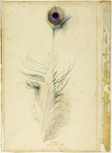Pauwenveer door John Ruskin