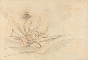 De rotsachtige oever van een rivier door John Ruskin