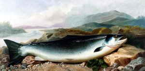 Stilleven van een Zalm aan een Rivieroever in een Bergachtig Landschap