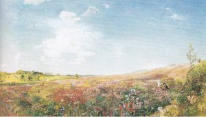 Zomerlandschap door John Samuel Raven