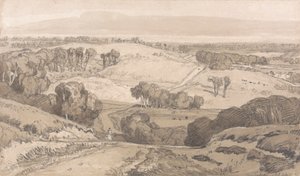 Holt Heath, nabij Norwich