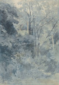 In Rokeby Park door John Sell Cotman