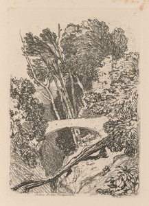 Liber Studiorum: Plaat 11: Parsons Bridge, Cardingshire, 1838 door John Sell Cotman
