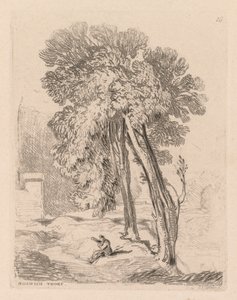Liber Studiorum: Plaat 18, Bomen bij Norwich Thorp, Norfolk door John Sell Cotman