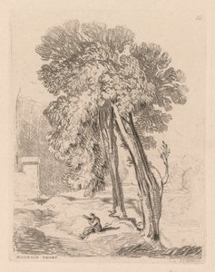 Liber Studiorum: Plaat 18, Bomen in Norwich Thorp, Norfolk, 1838 door John Sell Cotman