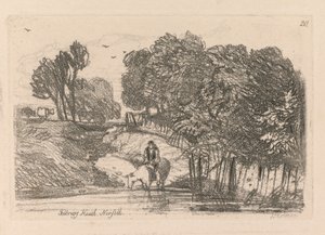 Liber Studiorum: Plaat 20, Felbrigg Heath, Norfolk door John Sell Cotman