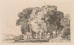 Liber Studiorum: Plaat 3, Bomen bij Twickenham door John Sell Cotman